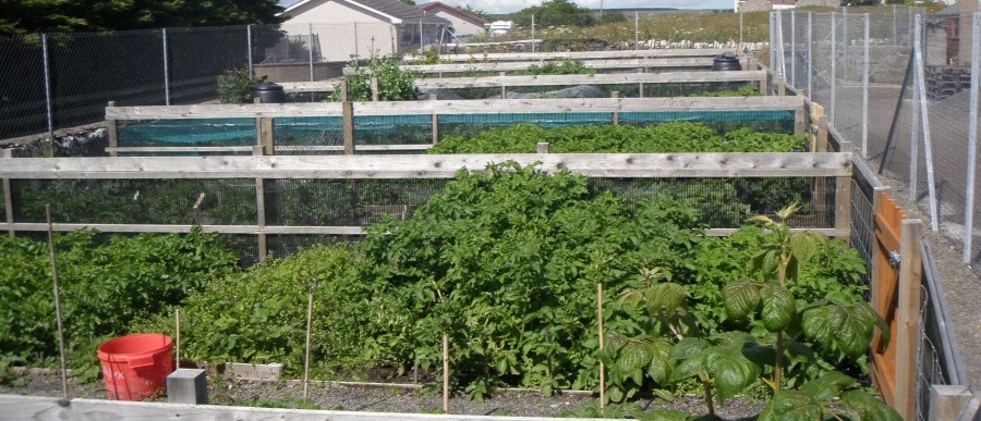 LLCCDC Community Allotments